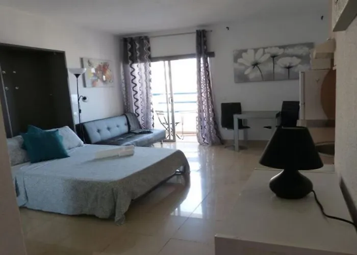 Estudio Paraiso Del Sur *