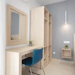Estudio Paraiso Del Sur